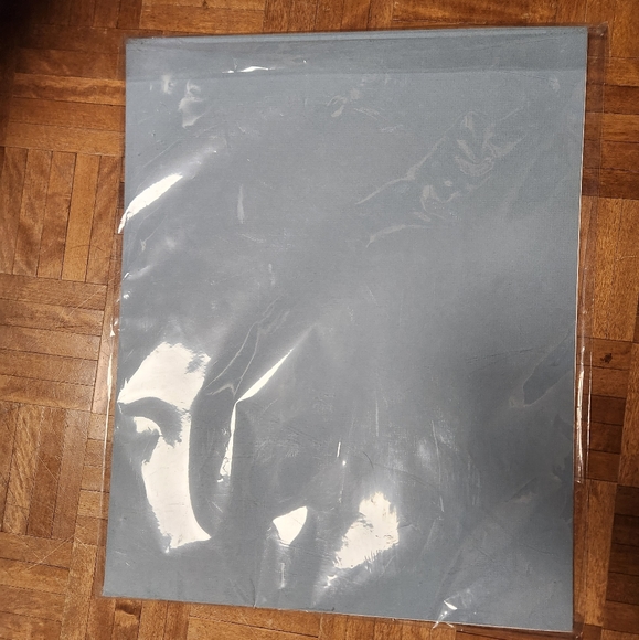 Deanna Lankin Print 20 x 16 - Picture 4 of 5